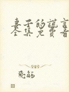 妻子的谎言短剧全集免费看