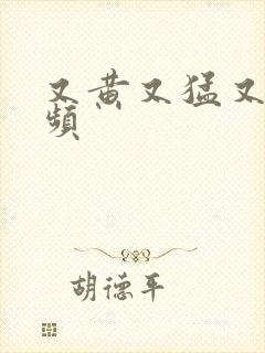 又黄又猛又爽视频