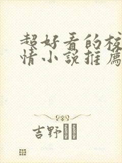 超好看的校园言情小说推荐