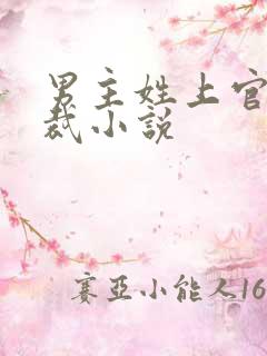 男主姓上官的总裁小说