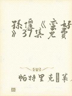 孙俪《蛮好人生》37集免费观看