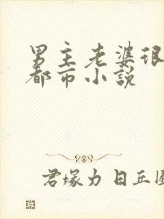 男主老婆很多的都市小说