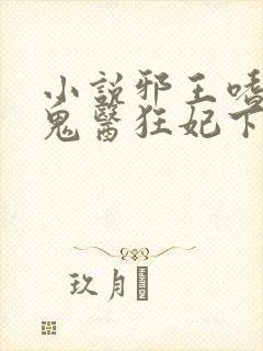 小说邪王嗜宠:鬼医狂妃下载