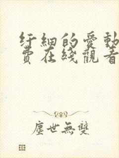 纤细的爱动漫免费在线观看