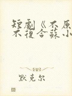 短剧《不原谅,不复合苏小姐独美》