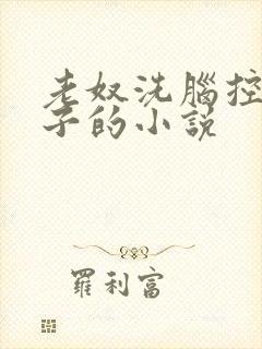 老奴洗脑控制仙子的小说