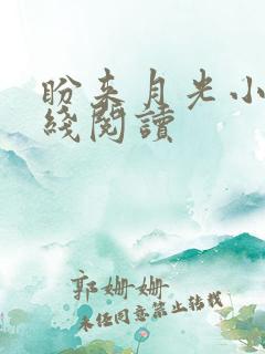 盼来月光小说在线阅读