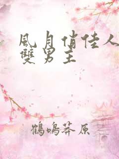 风月俏佳人日剧双男主