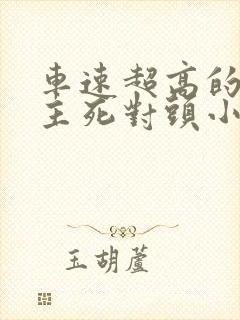 车速超高的双男主死对头小说