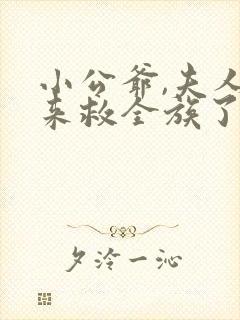 小公爷,夫人回来救全族了短剧