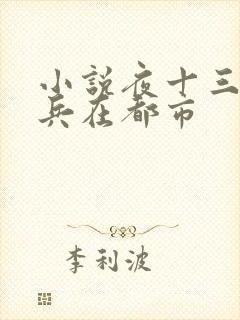 小说夜十三特种兵在都市