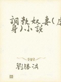 调教奴妻(虐女身)小说