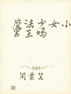 魔法少女小圆有男主吗