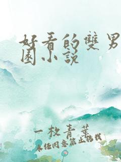 好看的双男主校园小说