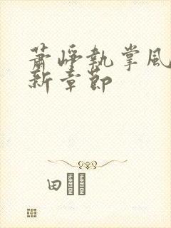 萧峥执掌风云最新章节