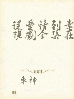 从爱情到幸福电视剧全集在线观看