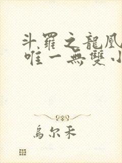 斗罗之龙凰传说 唯一无双小说