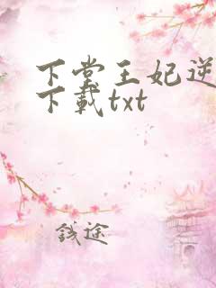 下堂王妃逆袭记下载txt