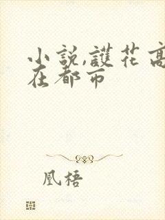 小说,护花高手在都市