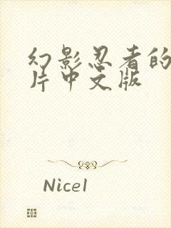 幻影忍者的动画片中文版