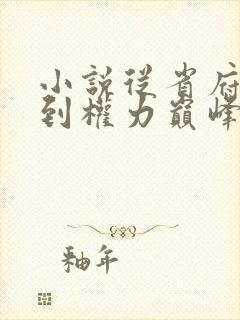 小说从省府大秘到权力巅峰全文