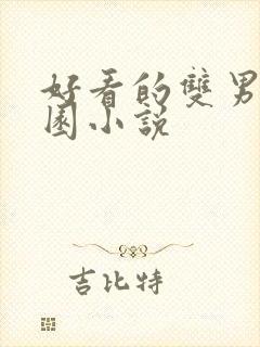 好看的双男主校园小说