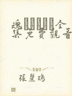 魂インサート全集免费观看下载