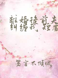 离婚后前夫总想纠缠我 短剧