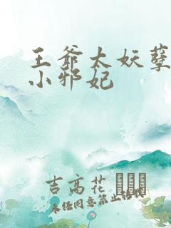 王爷太妖孽独宠小邪妃