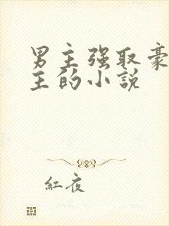 男主强取豪夺女主的小说