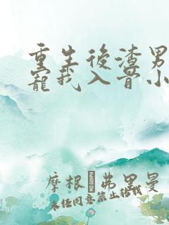 重生后渣男小叔宠我入骨小说