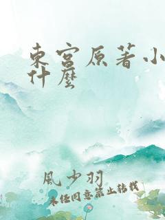 东宫原著小说叫什么