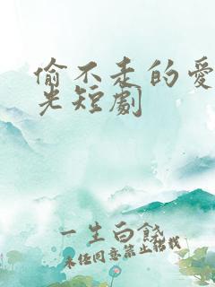 偷不走的爱与时光短剧