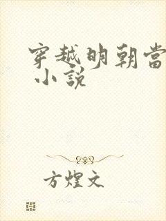 穿越明朝当暴君 小说