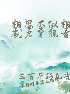 相思不似相逢短剧免费观看全集