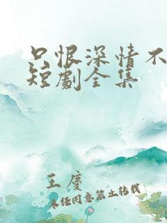 只恨深情不识鸢短剧全集