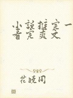 小说推完一口气看完爽文