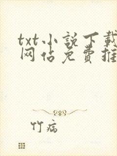 txt小说下载网站免费推荐