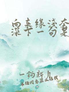 向来缘浅奈何情深下一句是什么