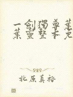 一剑独尊叶玄,叶灵整本免费