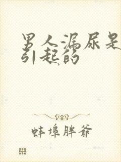 男人漏尿是什么引起的