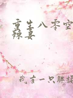 重生八零空间小辣妻