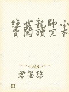 绝世龙帅小说免费阅读完本