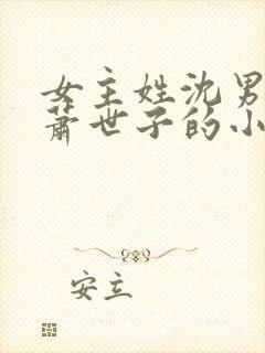 女主姓沈男主姓萧世子的小说