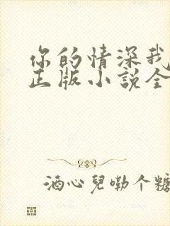 你的情深我不配正版小说全文免费阅读