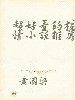 超好看的校园言情小说推荐