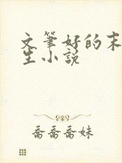 文笔好的末世重生小说