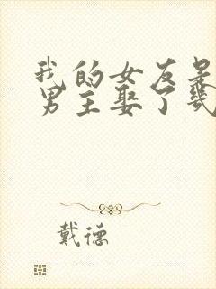 我的女友是恶女男主娶了几个