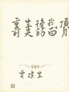 重生后我顶替了前夫的白月光免费阅读