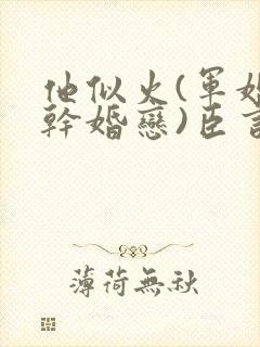 他似火(军婚高干婚恋)臣言最新章节